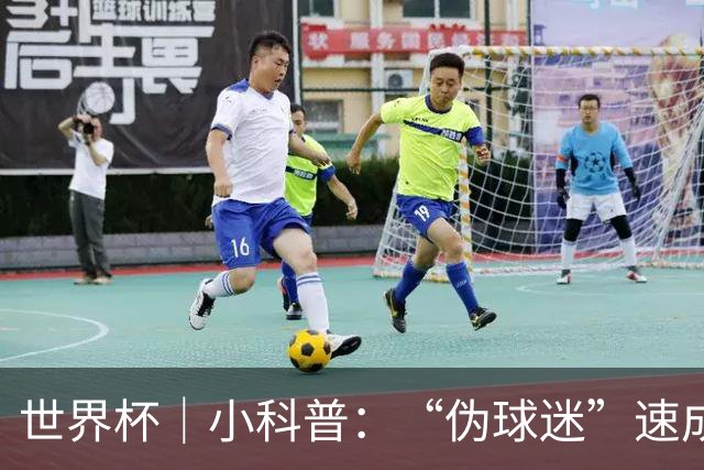 世界杯｜小科普：“伪球迷”速成手册